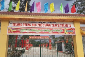 Làm giả hồ sơ đấu thầu, một doanh nghiệp bị cấm thầu 3 năm