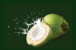 Nâng tầm vị thế ngành Dừa: Không thể chậm trễ bảo hộ thương hiệu