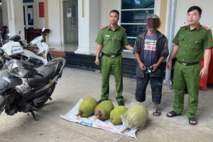 Tuần tra lúc rạng sáng, công an bắt giữ 3 đối tượng trộm 6 trái mít Thái