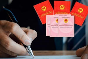 Từ năm 2026, những trường hợp nào bắt buộc phải cấp mới Sổ đỏ theo Nghị định 101? Từ năm 2026, những trường hợp nào bắt buộc phải cấp mới Sổ đỏ theo Nghị định 101?