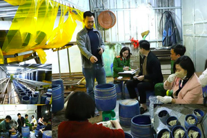 Khởi tố, bắt tạm giam chủ cơ sở sản xuất hàng nghìn kg giá đỗ ngâm chất cấm Khởi tố, bắt tạm giam chủ cơ sở sản xuất hàng nghìn kg giá đỗ ngâm chất cấm