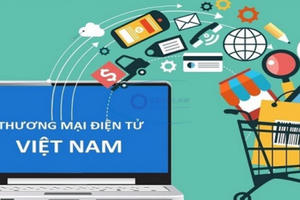 Đưa thương mại điện tử vào quỹ đạo phát triển bền vững