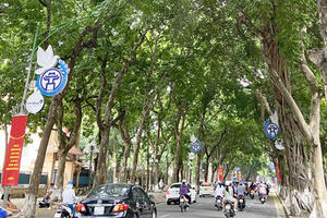 Bắc Bộ ngày có mưa rào và dông rải rác