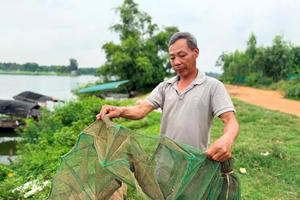 Tin tức ngày 8-8: Vàng thế giới bứt phá, giá trong nước trái chiều