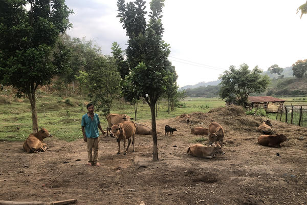 Branding & Design 234