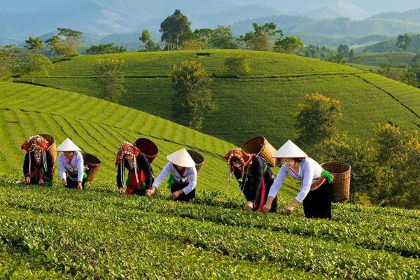 Ứng dụng khoa học công nghệ và chuyển đổi số để xây dựng nông thôn mới