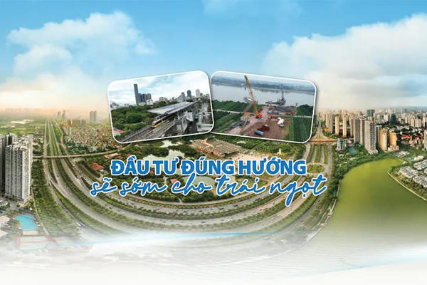 Đầu tư đúng hướng sẽ sớm cho trái ngọt