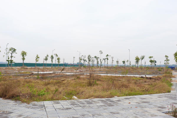 Đấu giá đất đã qua thời kỳ phải mua bằng mọi giá