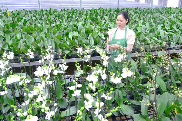 Khẳng định vai trò chủ thể trong xây dựng nông thôn mới