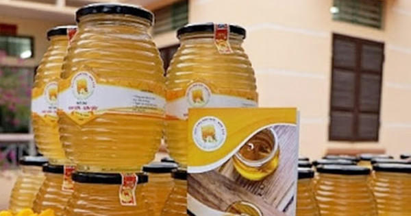 Mật ong Kim Sơn - tinh túy xứ Đoài