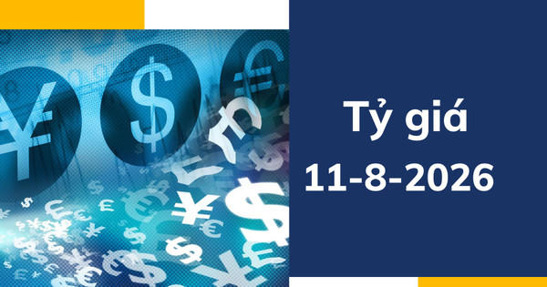 Tỷ giá USD ngày 11-8: USD nhích tăng, thị trường chờ tín hiệu từ CPI Mỹ