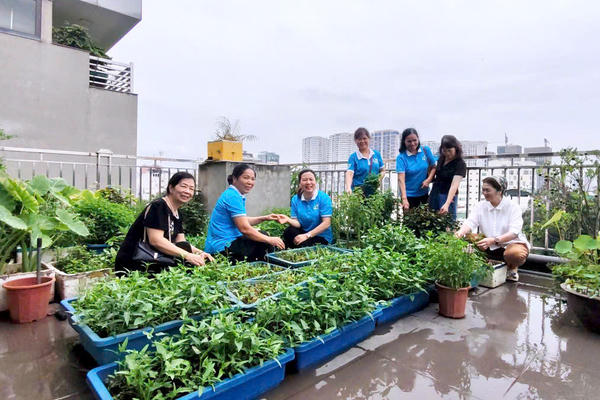 Gieo mầm xanh, lan tỏa chuyển đổi số từ mô hình “Khu vườn tôi yêu”