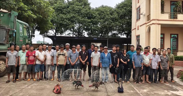 Công an Gia Lai dùng flycam đột kích sới gà quy mô lớn giữa rẫy hoang