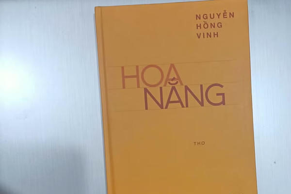 Hương sắc và ánh sáng từ "Hoa nắng"
