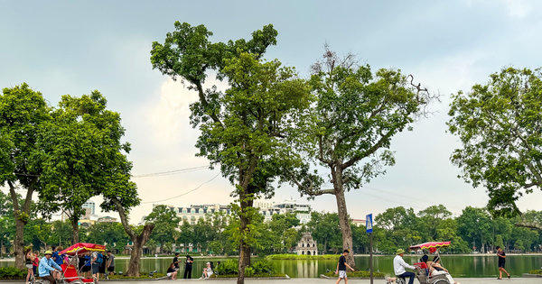 Thanh niên lãnh 14 năm tù vì ném bom xăng khiến một người bị thương nặng