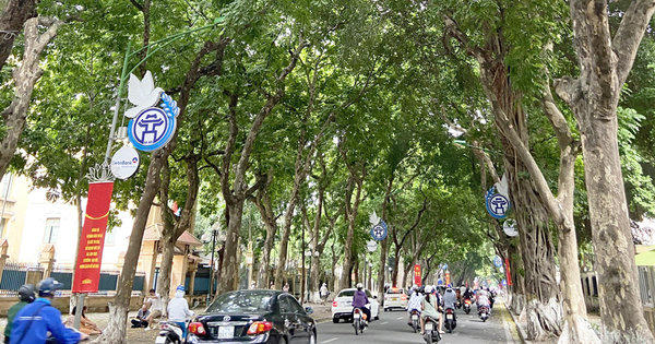 Bắc Bộ ngày có mưa rào và dông rải rác