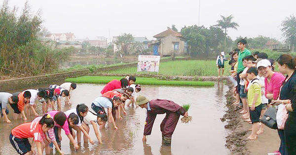 Định hình hướng đi bài bản, khoa học cho mô hình “nông thôn sáng tạo”