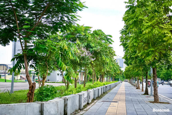 Làng quê xanh từ những hành động nhỏ
