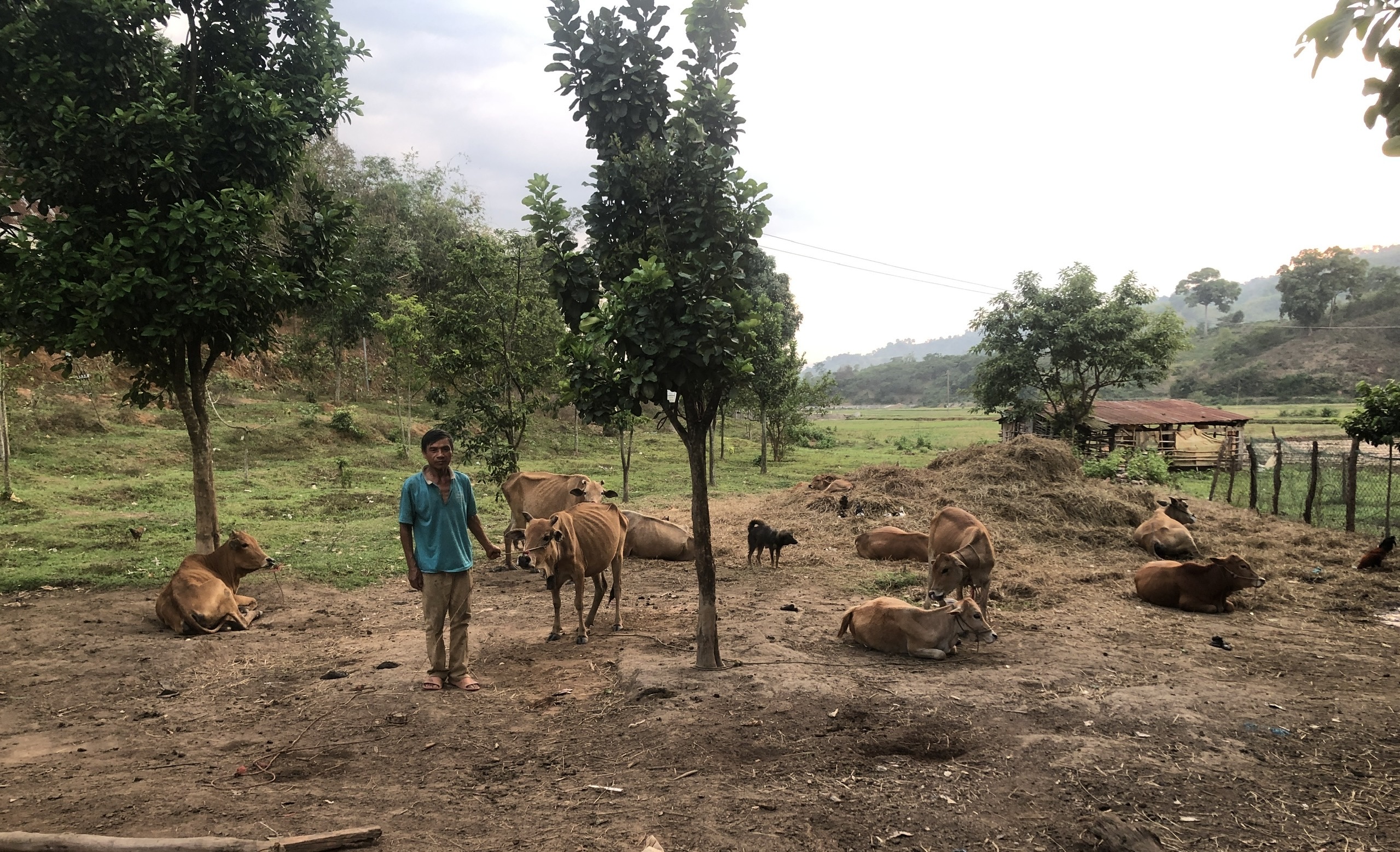 Branding & Design 234