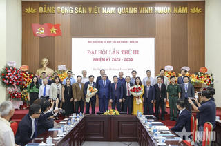Vietnamese-Portuguese dictionary to go online soon