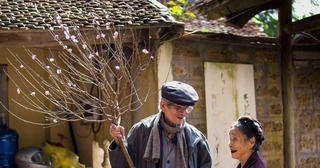 Hanoi rolls out a festival-filled Tet to welcome the world