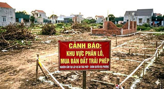 Gia Lai: Tăng cường kiểm soát, xử lý vi phạm trong lĩnh vực đất đai