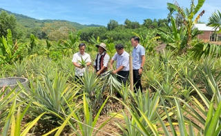 Đưa thông tin đến với nông dân, tạo động lực giảm nghèo bền vững Đưa thông tin đến với nông dân, tạo động lực giảm nghèo bền vững