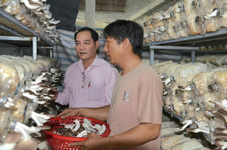 Vốn tín dụng chính sách “mở đường” khởi nghiệp cho lao động nông thôn