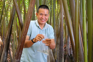 “Mật ngọt” giữa rừng dừa nước xứ Quảng