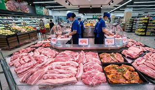 Giá heo hơi hôm nay 11.4: Giữ đỉnh 69.000 đồng/kg