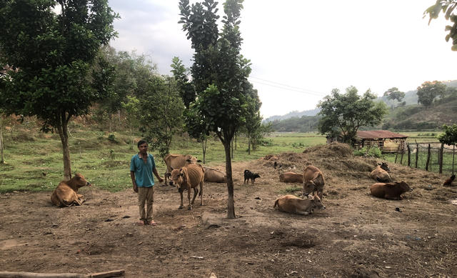 Branding & Design 234 Branding & Design 234