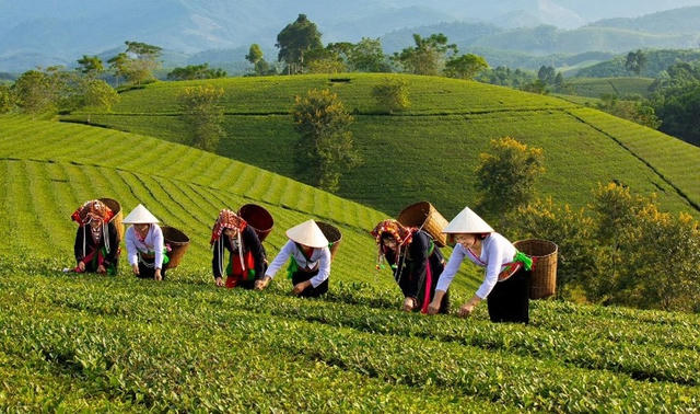 Ứng dụng khoa học công nghệ và chuyển đổi số để xây dựng nông thôn mới