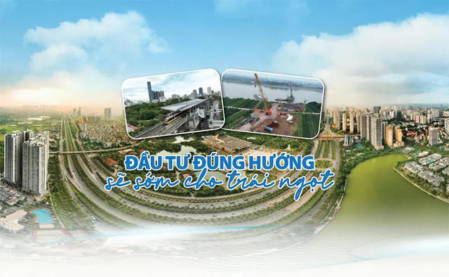 Đầu tư đúng hướng sẽ sớm cho trái ngọt