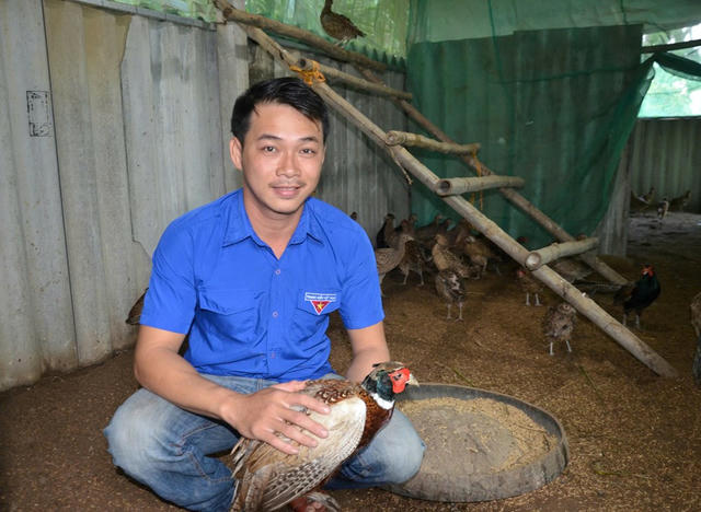 Thanh niên chủ động phát triển kinh tế từ mô hình quy mô nhỏ
