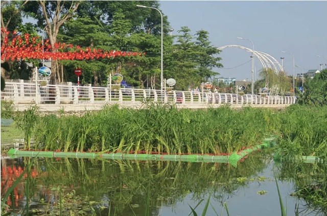 Dự án bổ cấp nước Hồ Tây mang theo kỳ vọng xử lý ô nhiễm sông Tô Lịch và tạo cảnh quan xanh - Ảnh 4