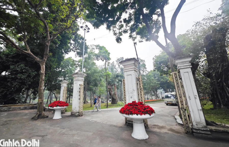 Hình ảnh 1 Bach Thao Park, often described as Hanoi’s “green lung”, covers a vast area in the heart of the capital. Photos: The Hanoi Times