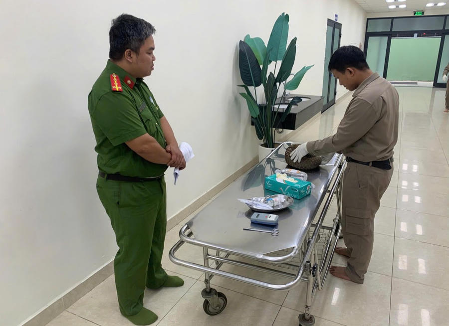 Cơ quan chuyên môn kiểm tra tình trạng sức khỏe của cá thể Tê tê.