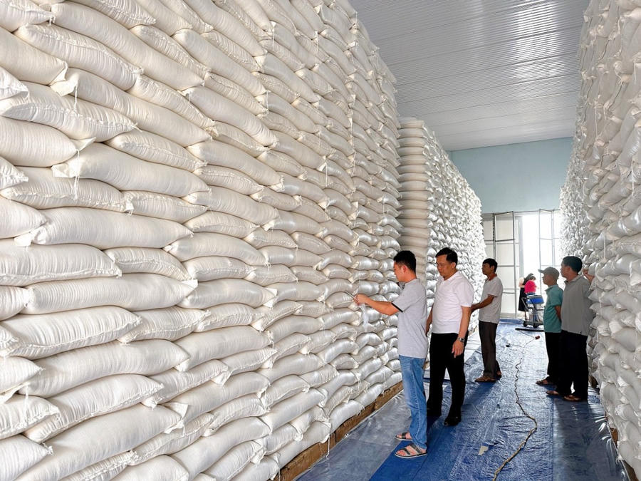 Việt Nam đạt kỷ lục dự trữ nhà nước 500.000 tấn lúa gạo. (Ảnh minh họa: Bộ Công thương)
