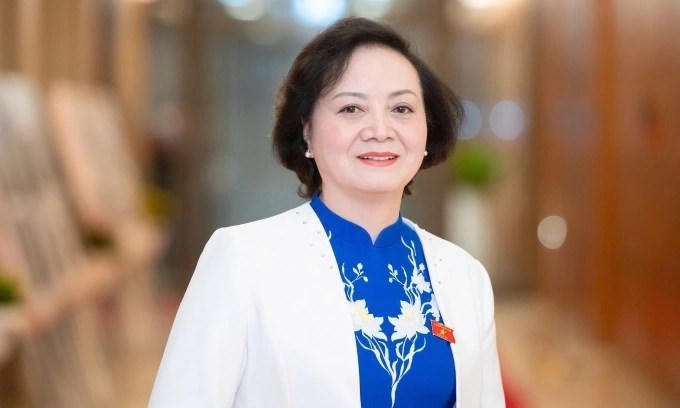 Phân công công tác của Thủ tướng Chính phủ và các Phó Thủ tướng Chính phủ - ảnh 4