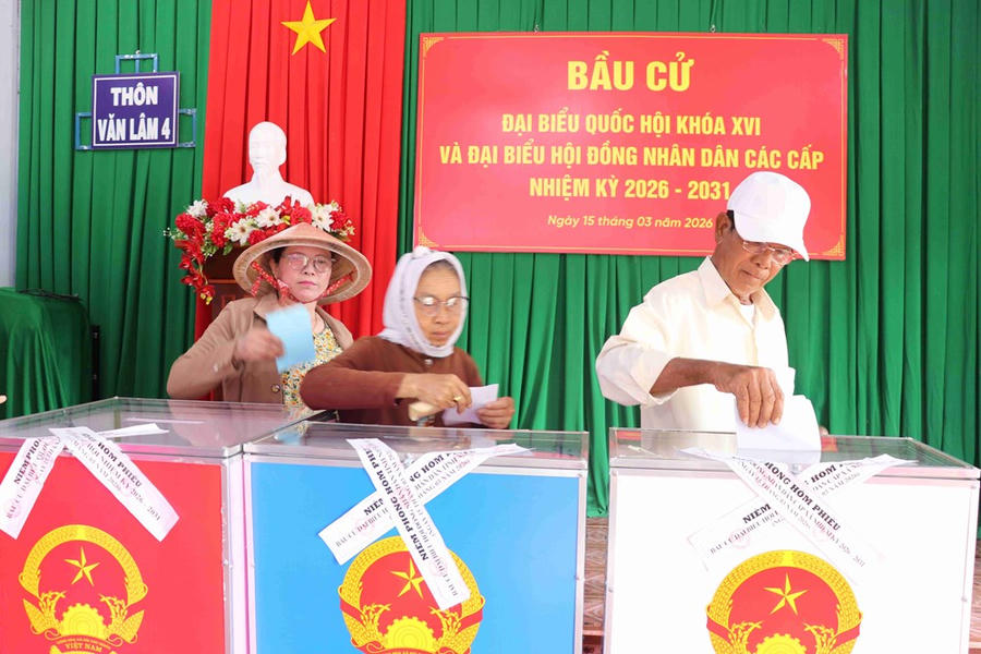 Các cử tri mong muốn tự tay bỏ những lá phiếu và kỳ vọng các đại biểu trúng cử phát huy hơn nữa vai trò, trách nhiệm của đại biểu dân cử để góp sức, cống hiến cho sự phát triển của đất nước sau này