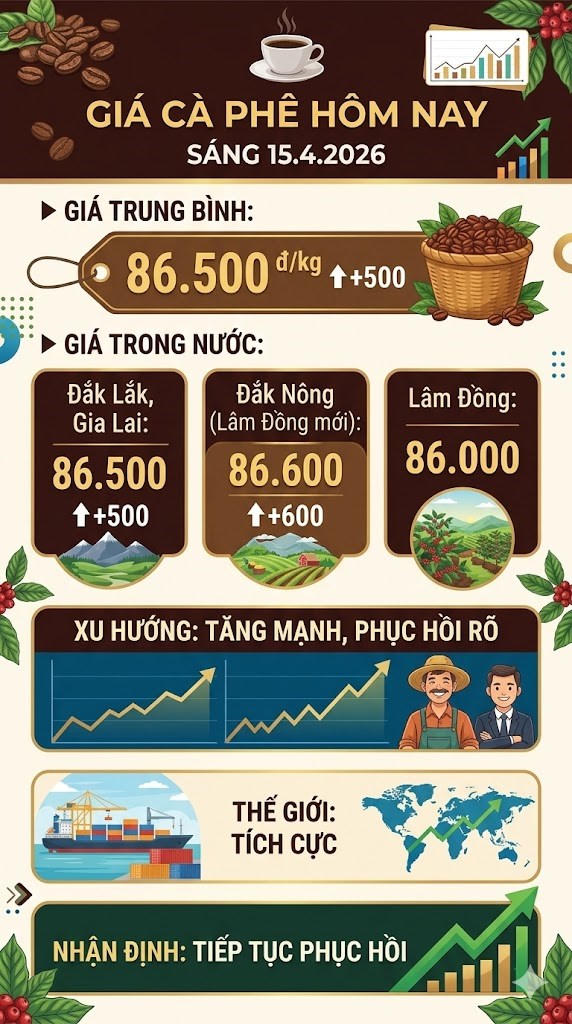 Giá cà phê hôm nay 15.4: Tây Nguyên tăng đồng loạt