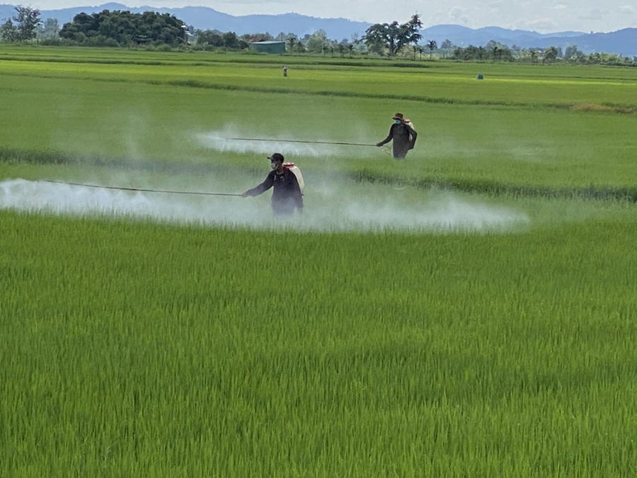 Hiện thực hóa EPR trong xử lý rác thải nông nghiệp - ảnh 4