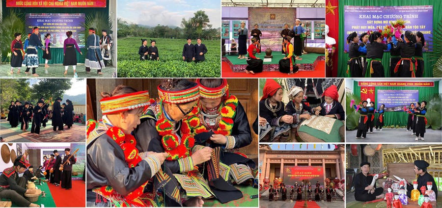 Công tác nghiên cứu khoa học và chương trình, dự án về bảo tồn và phát huy giá trị các di sản văn hóa các dân tộc Việt Nam cũng được chú trọng
