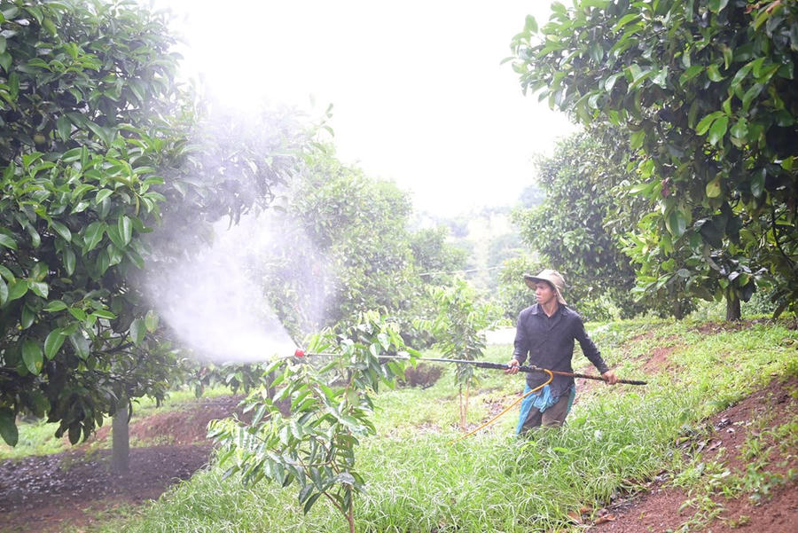 Hiện thực hóa EPR trong xử lý rác thải nông nghiệp