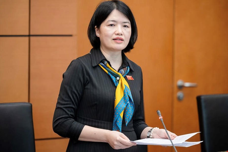 Bà Nguyễn Thị Mai Thoa, đại biểu chuyên trách Ủy ban Văn hóa và Xã hội của Quốc hội