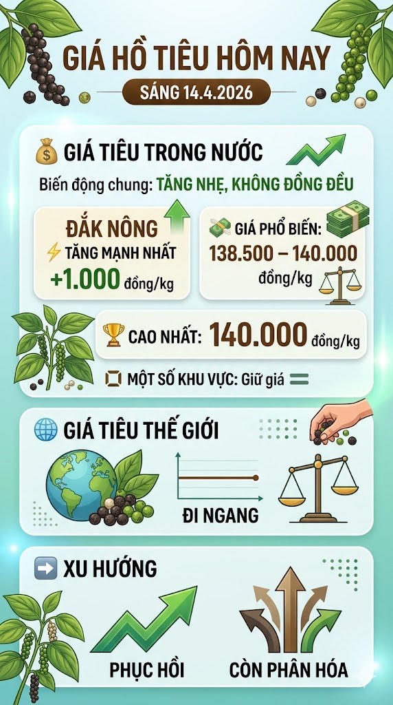 Giá hồ tiêu hôm nay 14.4: Tây Nguyên bật tăng, thị trường khởi sắc