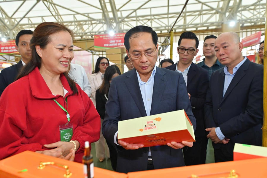 Phó Thủ tướng Bùi Thanh Sơn: Hội chợ Mùa Xuân 2026 là nơi mua sắm và hưởng thụ không khí mùa xuân