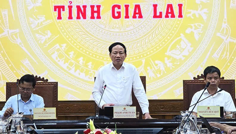 Gia Lai mạnh tay xử lý trường hợp trục lợi, găm hàng hay kê giá bất hợp lý