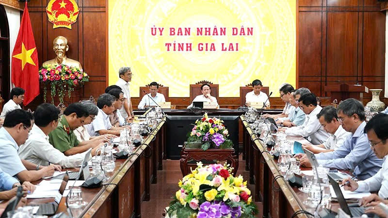 Gia Lai mạnh tay xử lý trường hợp trục lợi, găm hàng hay kê giá bất hợp lý - ảnh 2