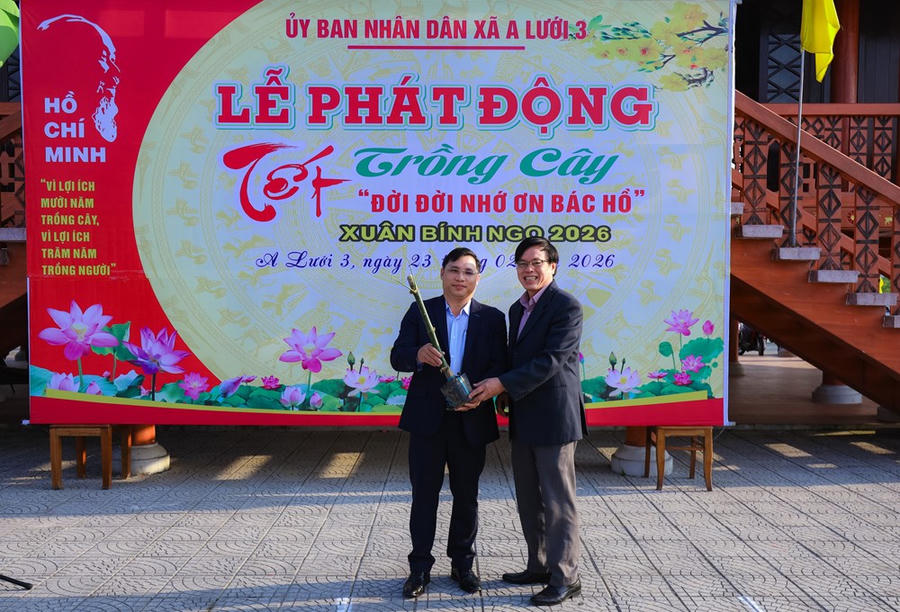 SODI hỗ trợ trồng tre ở vùng nguy cơ sạt lở tại miền núi TP. Huế - ảnh 4